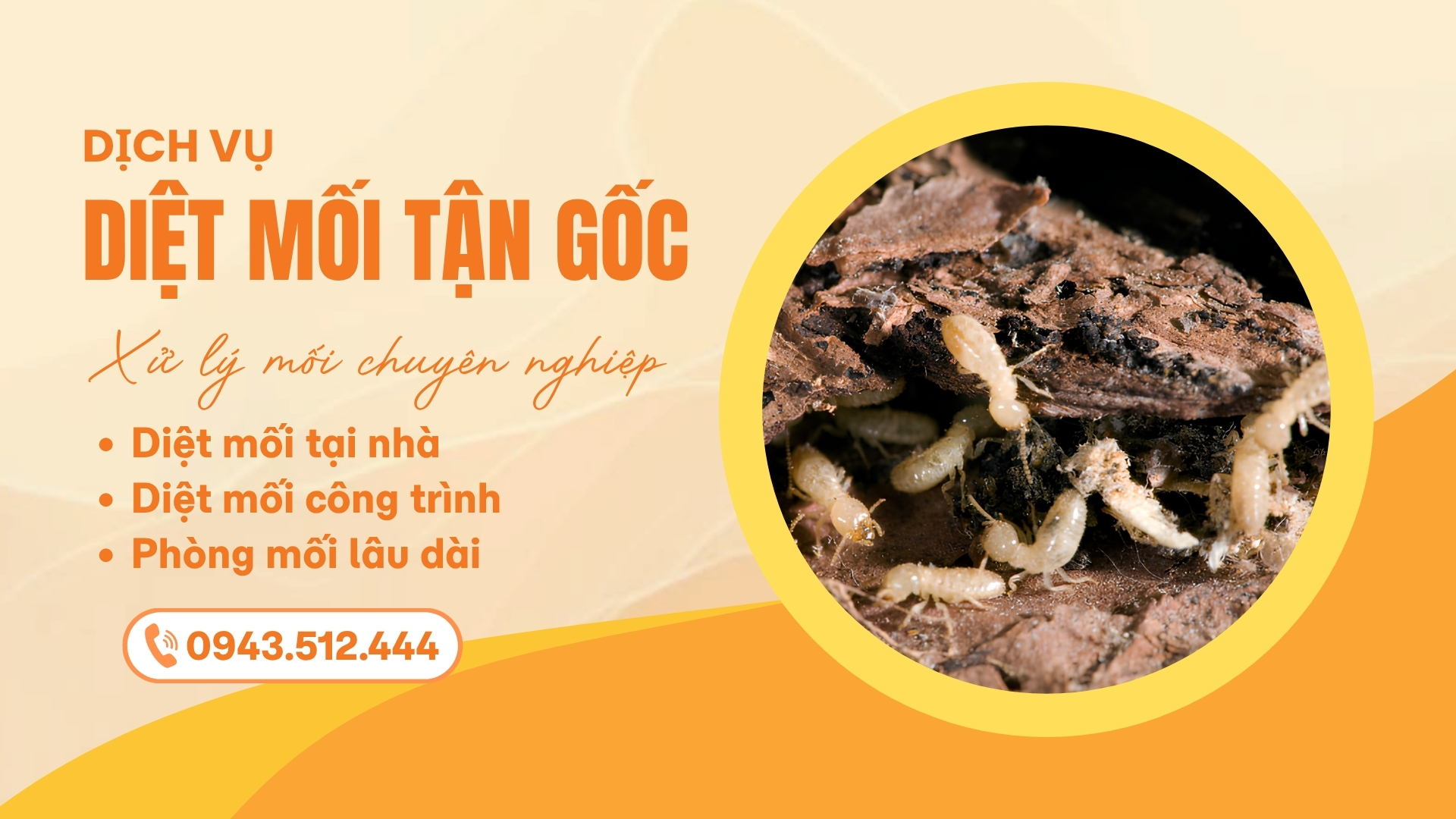 Dịch vụ diệt mối tận gốc tại Hải Phòng