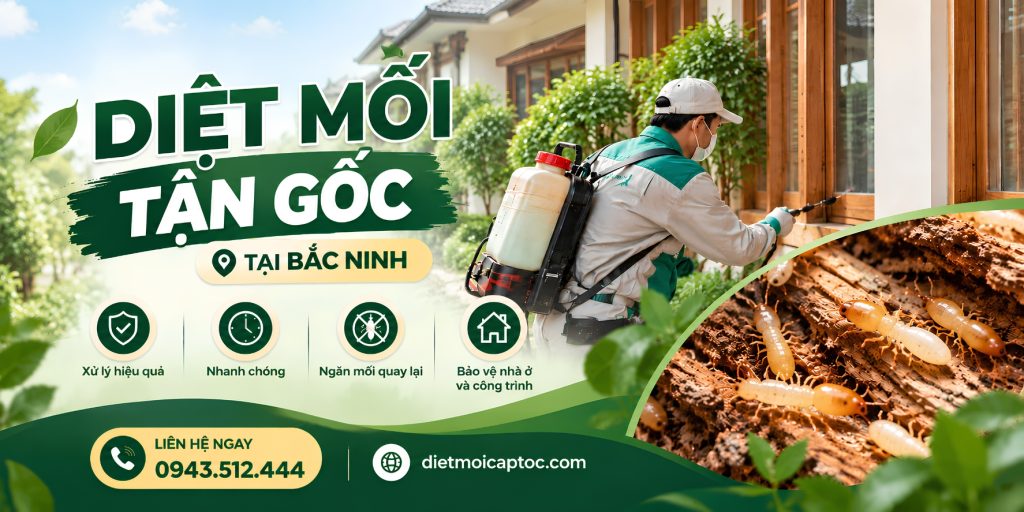 Diệt mối tận gốc tại Bắc Ninh - công ty Diệt Mối HomeCity
