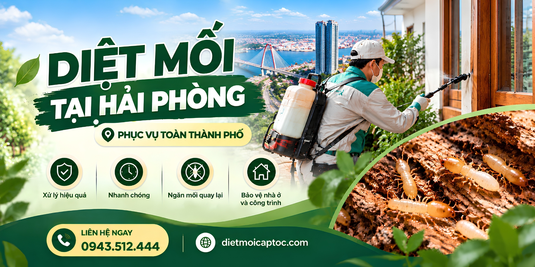 Diệt mối khu vực Hải Phòng – HomeCity phục vụ toàn thành phố